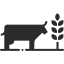 ecofarma-promoting-healthier-livestock_64x64px