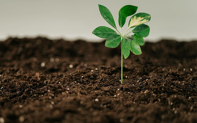 Click Read more to find out more about soil conditioners.